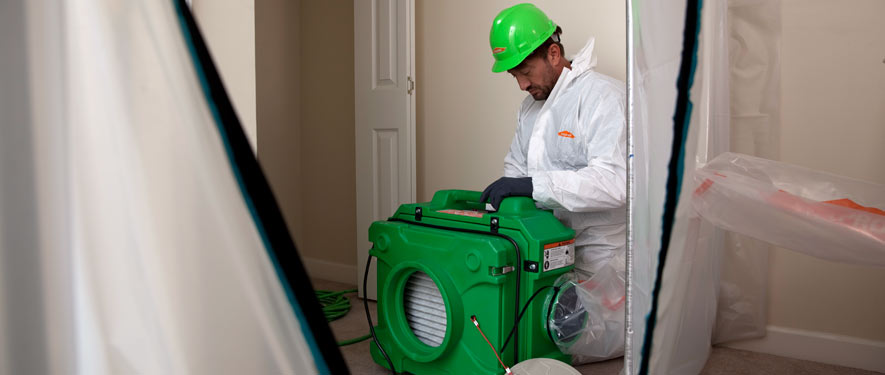 Ewing Township, NJ mold cleanup