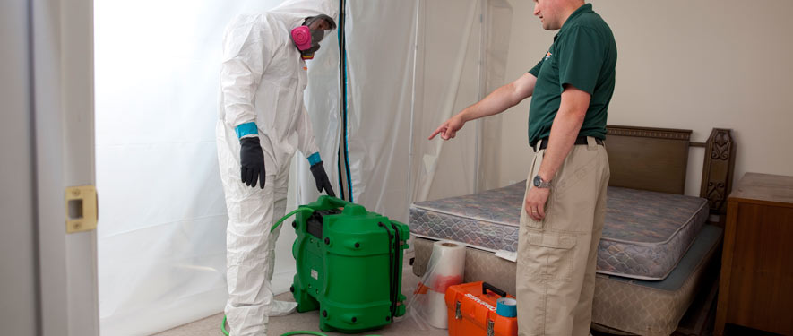 Ewing Township, NJ mold removal process